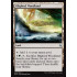 Blighted Woodland (Battle for Zendikar)