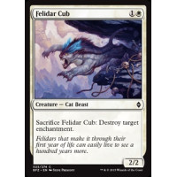Felidar Cub (Battle for Zendikar)