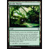 Fertile Thicket (Battle for Zendikar)