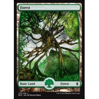 Forest - Full Art v. 4 (Battle for Zendikar)
