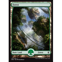 Forest - Full Art v. 2 (Battle for Zendikar)