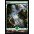 Forest - Full Art v. 2 (Battle for Zendikar)