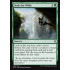 Seek the Wilds (Battle for Zendikar)