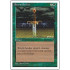 Storm Seeker (Chronicles)