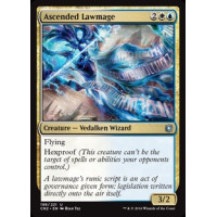 Ascended Lawmage (Conspiracy Take the Crown) - Foil