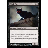 Black Cat (Dark Ascension)