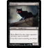 Black Cat (Dark Ascension)