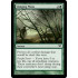 Clinging Mists (Dark Ascension)