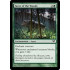 Favor of the Woods (Dark Ascension)