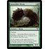 Gravetiller Wurm (Dark Ascension)
