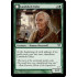 Lambholt Elder (Dark Ascension)