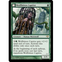 Wolfbitten Captive (Dark Ascension)
