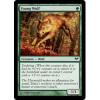 Young Wolf (Dark Ascension)