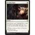Healing Grace (Dominaria)