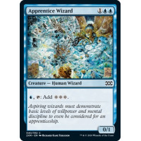 Apprentice Wizard (Double Masters)