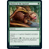 Chatter of the Squirrel (Double Masters)