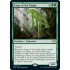 Liege of the Tangle (Double Masters)