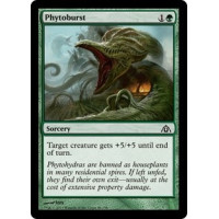 Phytoburst (Dragon's Maze)