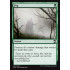 Fog (Eternal Masters)