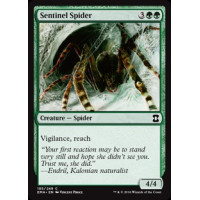 Sentinel Spider (Eternal Masters)