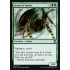 Sentinel Spider (Eternal Masters)