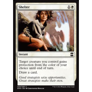 Shelter (Eternal Masters)