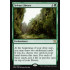 Sylvan Library (Eternal Masters)