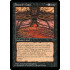 Tourach's Gate (Fallen Empires)