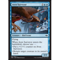 Aven Surveyor (Fate Reforged)