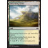 Blossoming Sands (Fate Reforged)