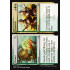 Flower // Flourish (Guilds of Ravnica)