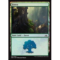 Forest (Guilds of Ravnica)