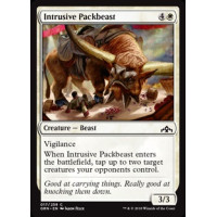 Intrusive Packbeast (Guilds of Ravnica)
