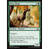 Wary Okapi (Guilds of Ravnica)