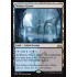 Watery Grave (Guilds of Ravnica)