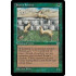 Joven's Ferrets (Homelands)