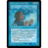 Reveka, Wizard Savant (Homelands)