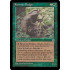 Rysorian Badger (Homelands)