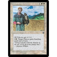 Soraya the Falconer (Homelands)
