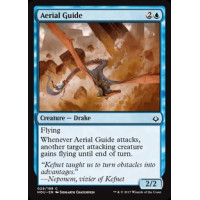 Aerial Guide (Hour of Devastation)
