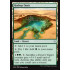 Hashep Oasis (Hour of Devastation)