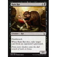 Ruin Rat (Hour of Devastation)