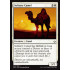 Solitary Camel (Hour of Devastation)