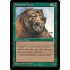 Balduvian Bears (Ice Age)