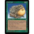 Chub Toad (Ice Age)