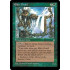 Elder Druid (Ice Age)