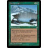 Hot Springs (Ice Age)