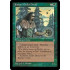 Juniper Order Druid (Ice Age)