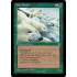Pale Bears (Ice Age)