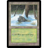 Snow-Covered Forest (Ice Age)
